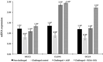 Protected Blend of Organic Acids and Essential Oils Improves Growth Performance, Nutrient Digestibility, and Intestinal Health of Broiler Chickens Undergoing an Intestinal Challenge